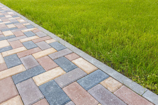 Reasons to Select Us for Your Driveway Paving Requirements in Ault, CO